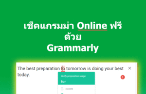 เช็คแกรมม่า Online ฟรี ด้วย Chrome ปลั๊กอินจาก Google