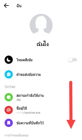 สนทนา ลับ messenger