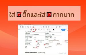 ใส่เครื่องหมายถูกใน pdf