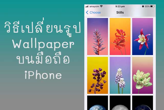 เปลี่ยนรูปภาพพื้นหลัง iPhone ทำอย่างไร