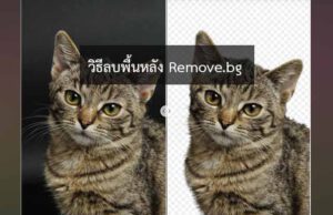 remove.bg ลบพื้นหลัง